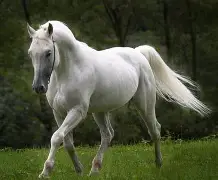 利记官方网站-马贝拉士气高涨，豪取客场胜利